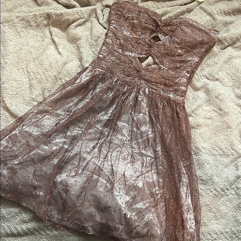 NWT HAILEY ADRIANNA PAPELL DRESS